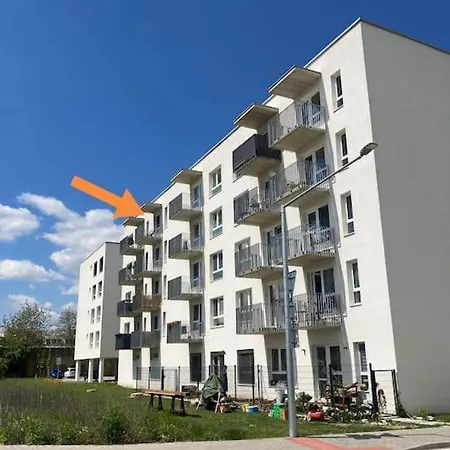 Entire Sunny In *